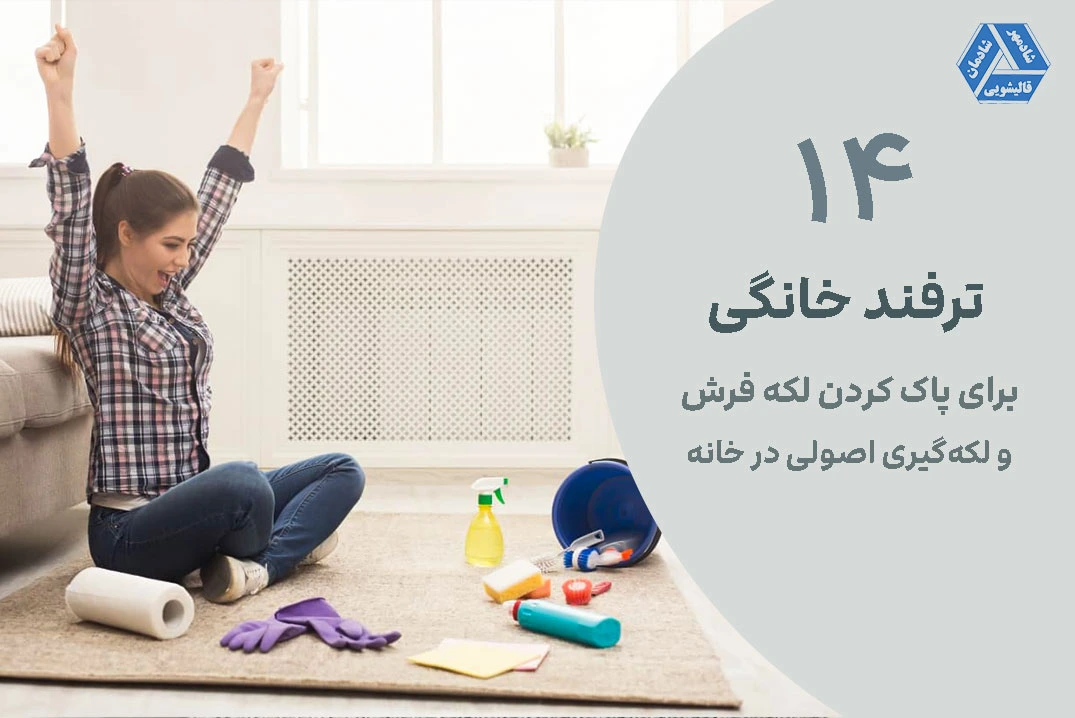 ۱۴ ترفند خانگی برای پاک کردن لکه فرش و لکه‌گیری اصولی در خانه